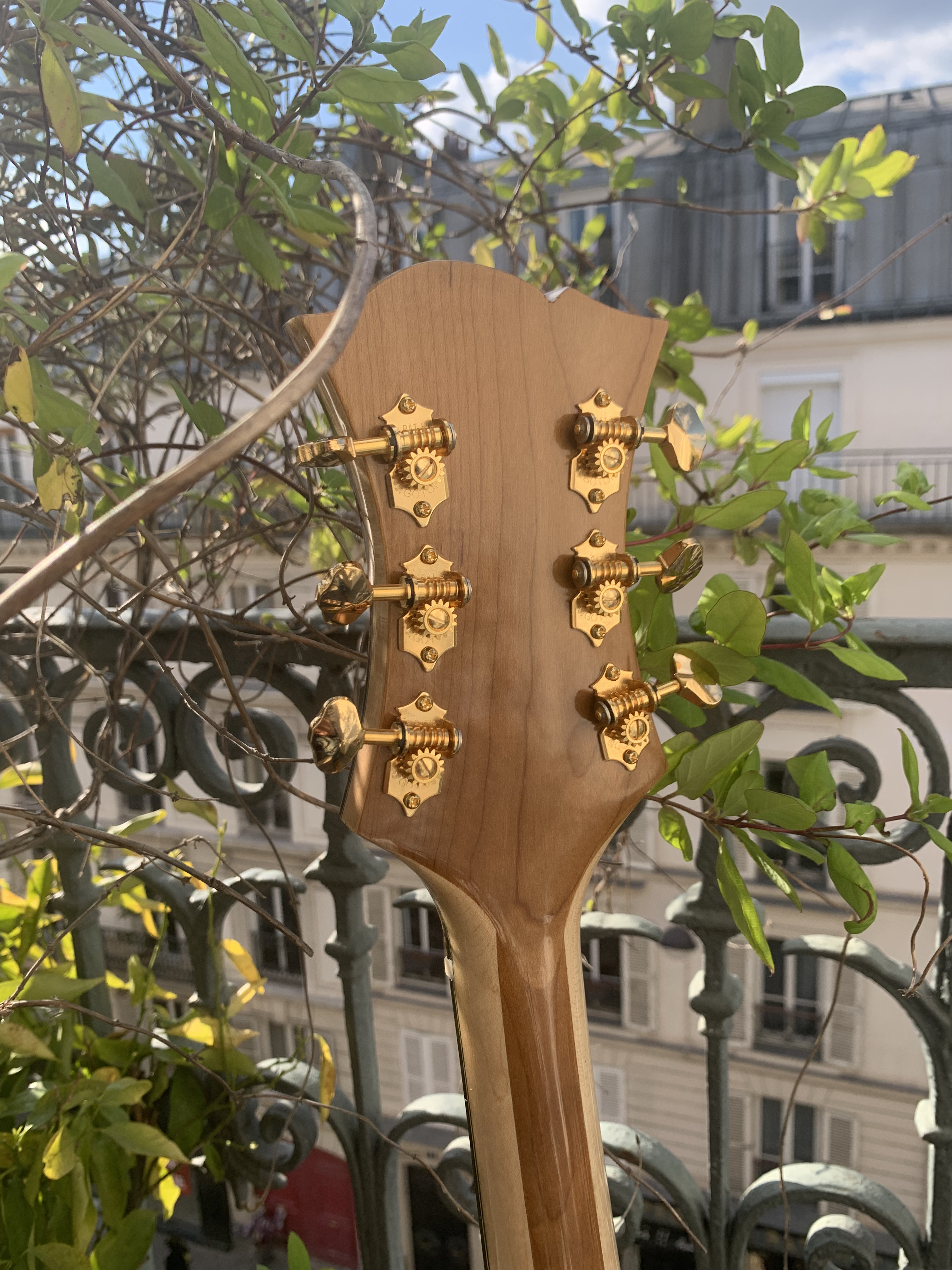 ARCHTOP_16"