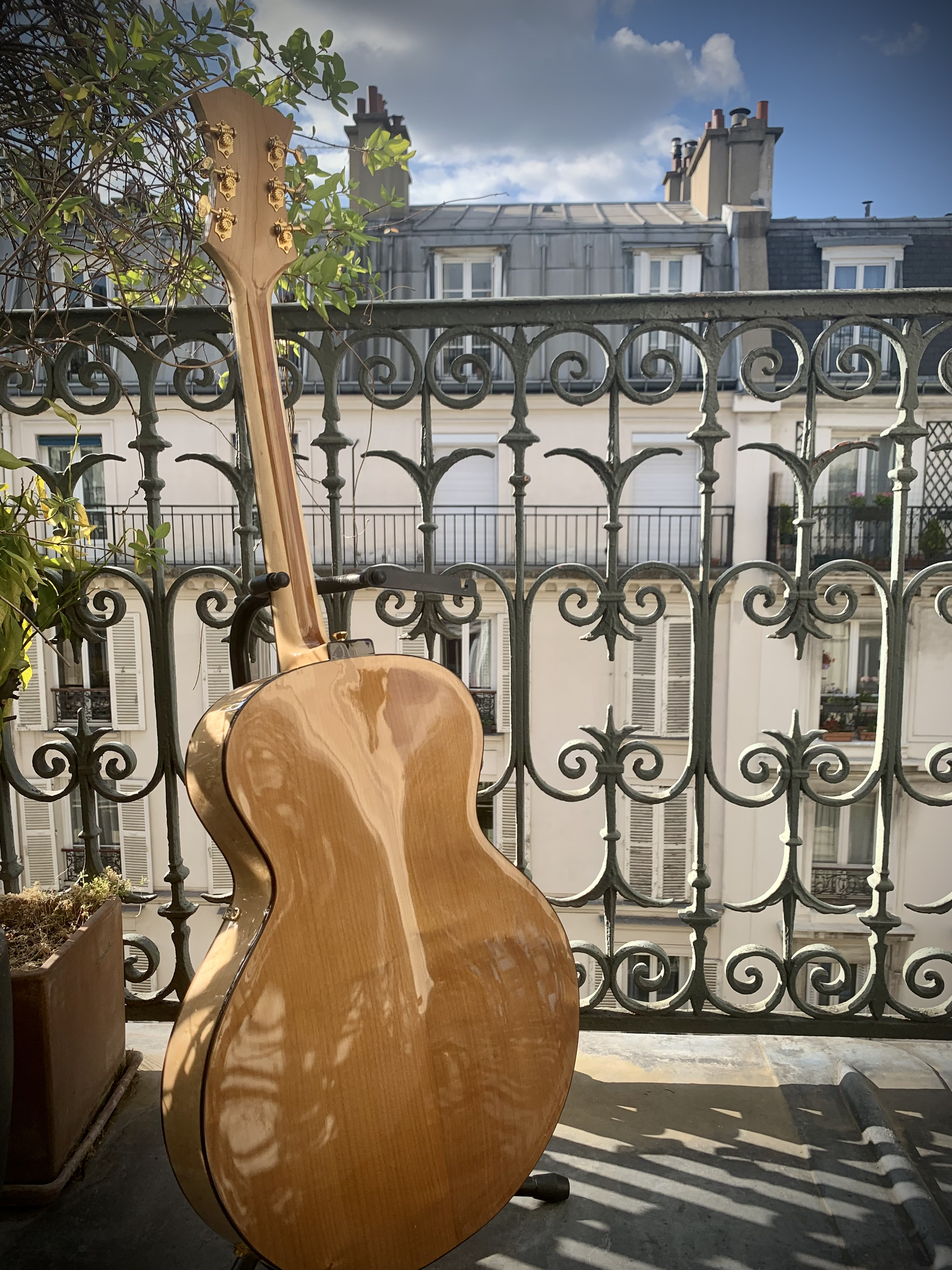 ARCHTOP_16"