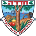 שמאי מקרקעין בחדרה – אפי אהרן