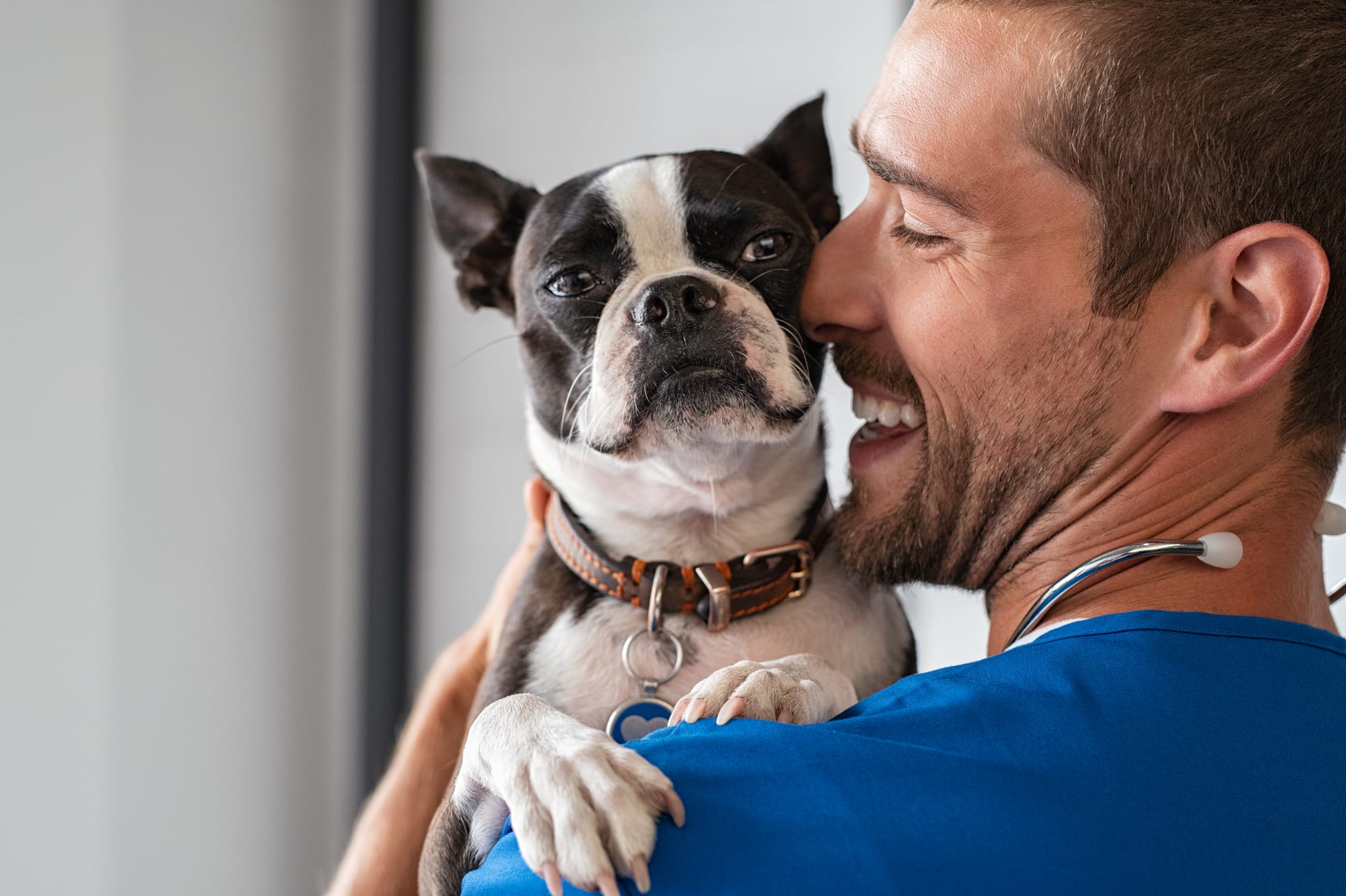 Pets in Sober Living Homes: How It Can Work Safely and the Laws in Los Angeles