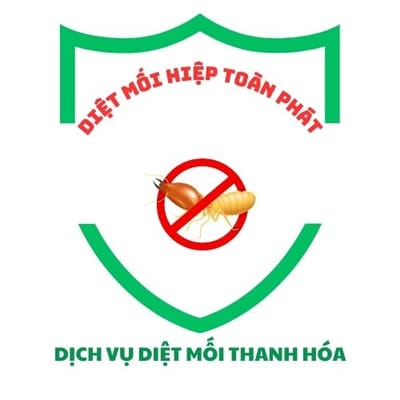 Diệt mối Thanh Hoá