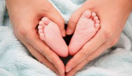 Baby Name Report
