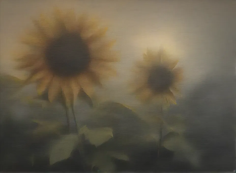 sunflowers, good bad & smelly