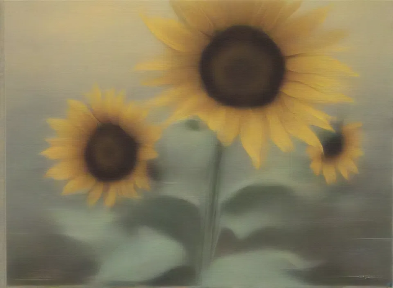 sunflowers, good bad & smelly