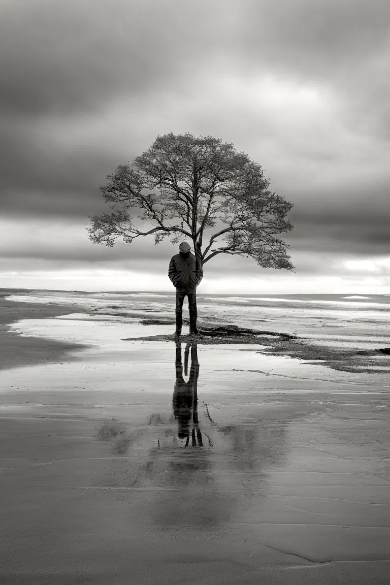 trees gnarly firest mist