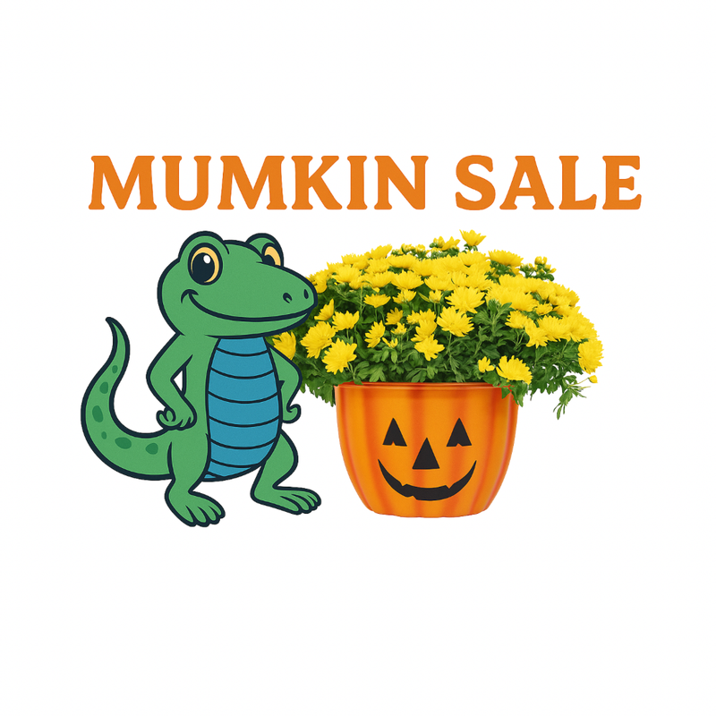 Beasley x Moana Nursery Mumkin sale NOW thru 10/19
