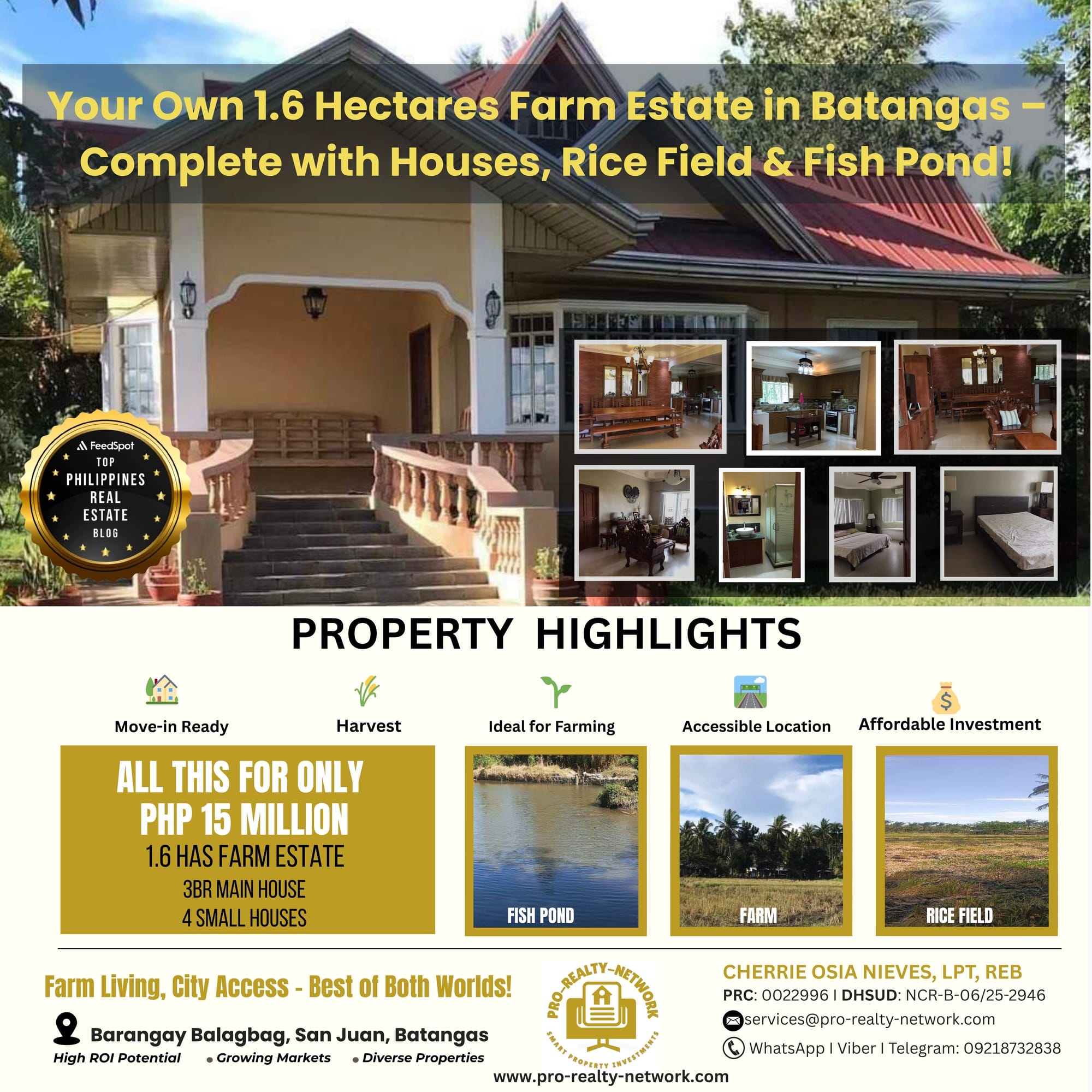 For Sale: 1.6-Hectare Farm Estate in San Juan Batangas