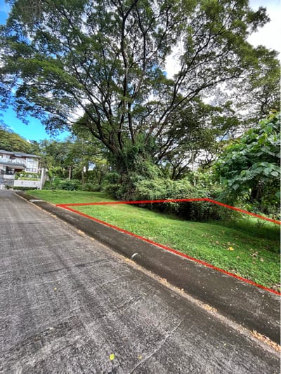 🌳 Discover the Perfect Lot to Build Your Dream Home at The Grove Havila, Angono Rizal