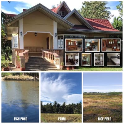 🌴 For Sale: 1.6-Hectares Farm Estate with Home & Income Potential in San Juan, Batangas