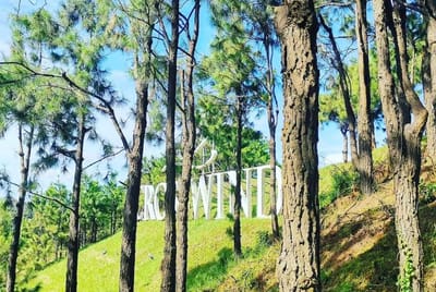 Experience Alpine Luxury Living at Crosswinds Tagaytay