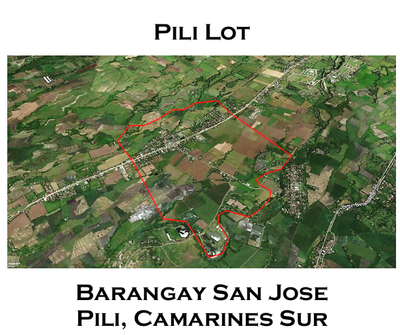 136.7-Hectare Land Investment Opportunity in Pili, Camarines Sur: A Strategic Large-Scale Land Play Near Naga Airport