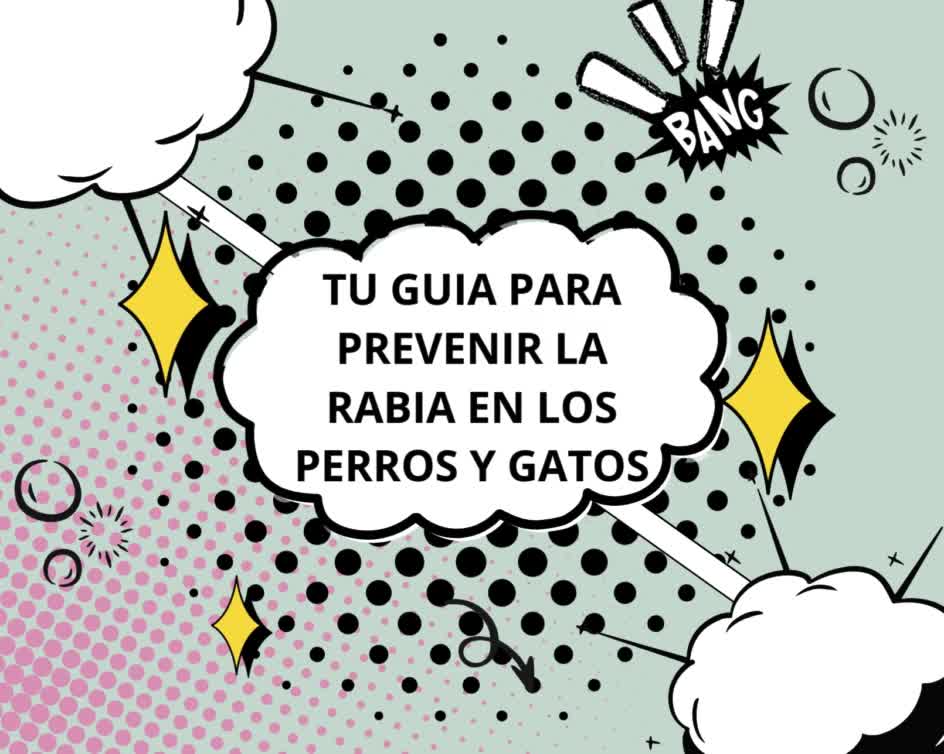 INFORMATIVO thumbnail