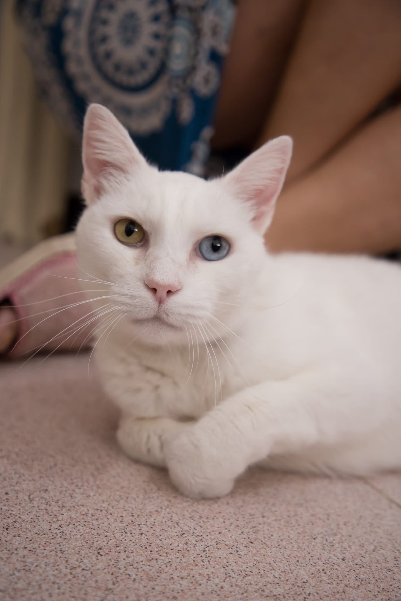 CASPER