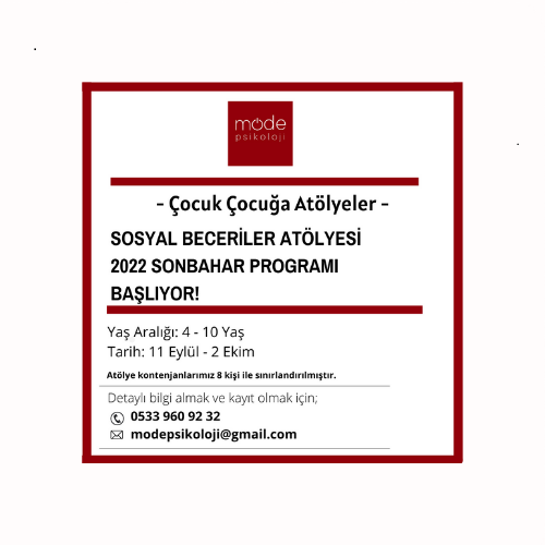 Sosyal Beceriler Atölyesi