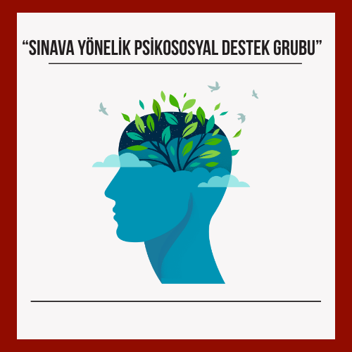 Sınava Yönelik Psikososyal Destek Grubu