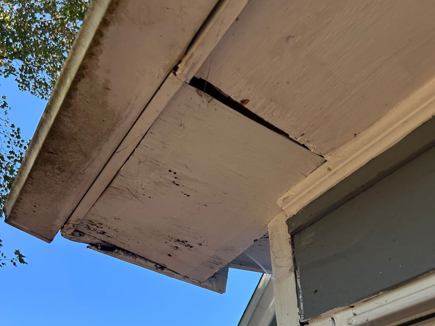 How to Prevent Carnish and Soffit Rot?