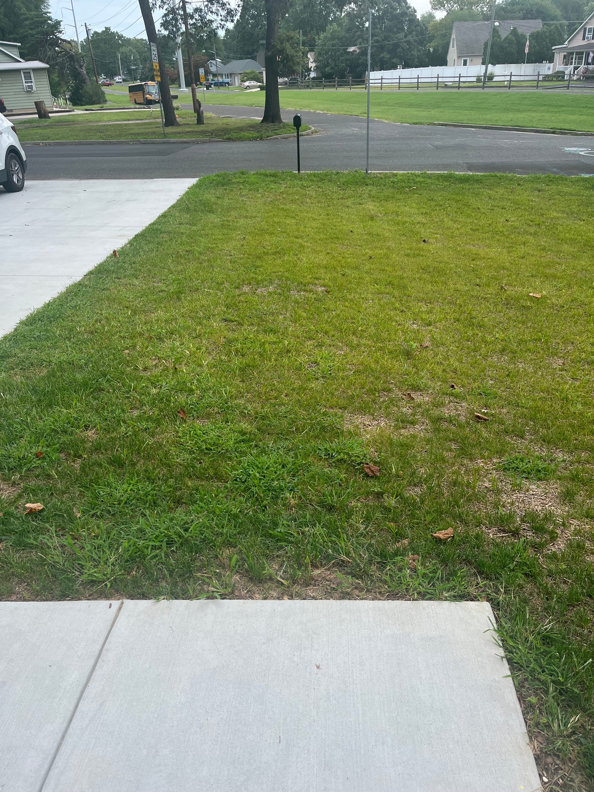 South Jersey Gravel Front Yard Gravel Walkway (BEFORE)
