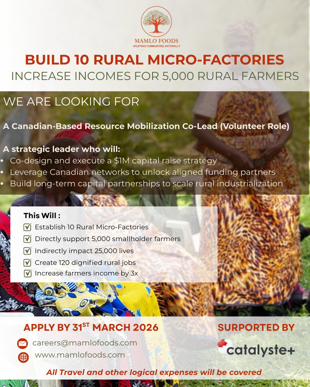 Canadian-Based Resource Mobilization Expert (Volunteer)