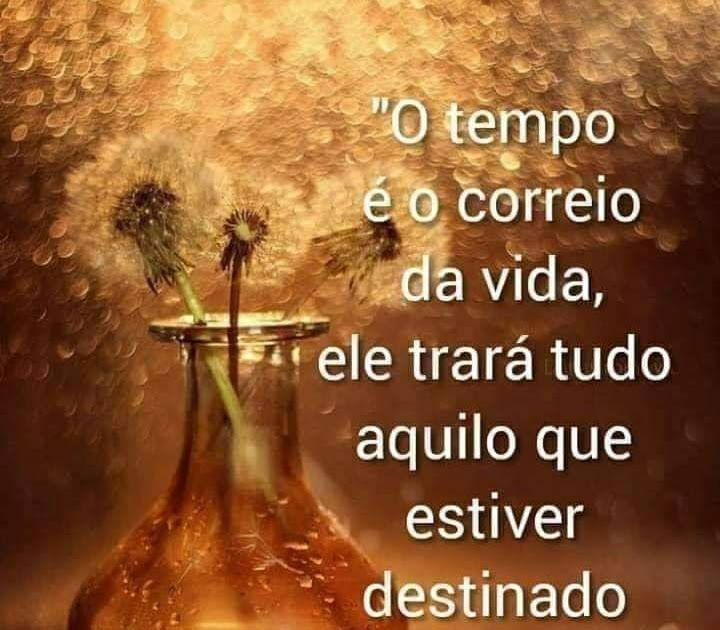 O TEMPO É O CORREIO DA VIDA