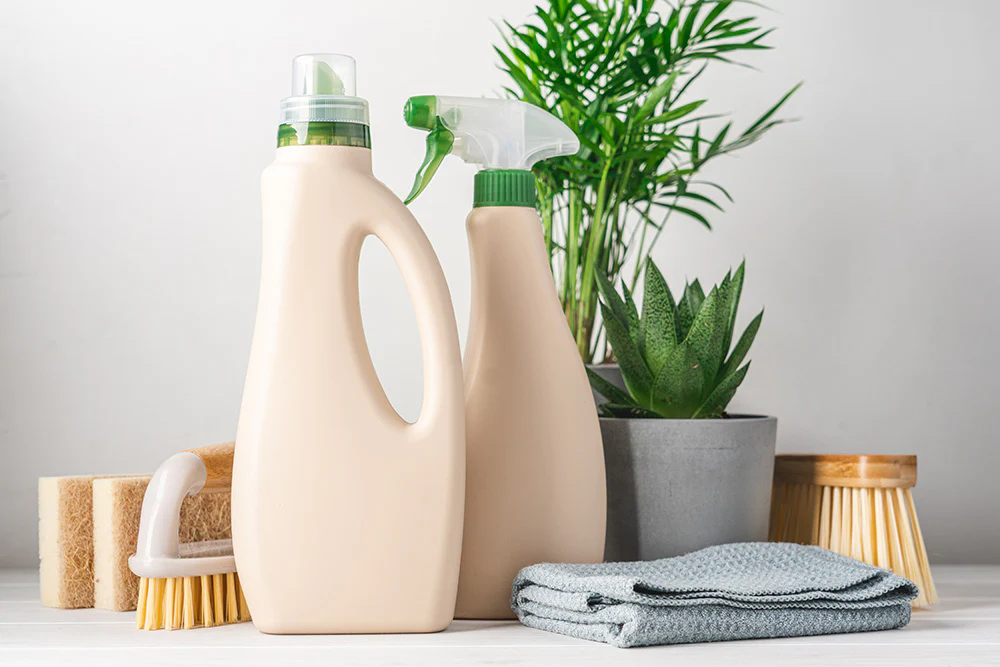 How to Start a Green Cleaning Routine at Home?