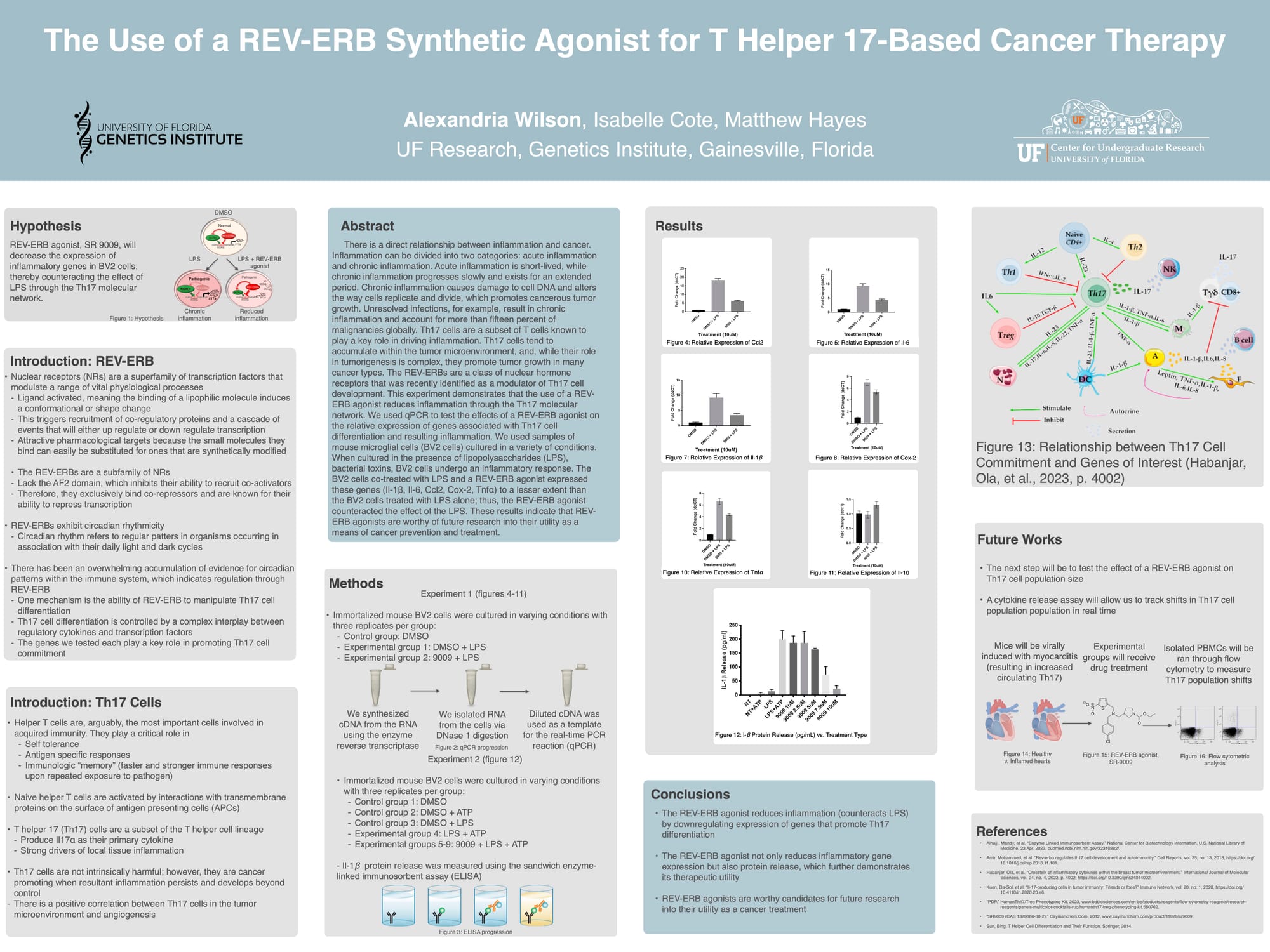 T-Helper 17-Based Cancer Therapy