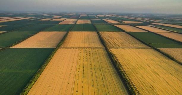 Порядок та особливості приватизації землі під час воєнного стану