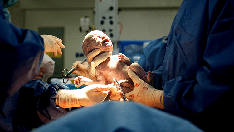 Obsteric & Gynecology services