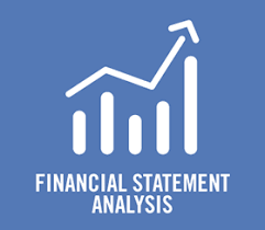 Financial Statement Analysis