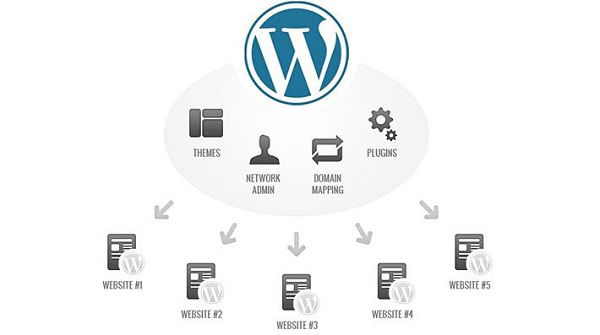 Dịch Vụ Thiết Kế Website WordPress Uy Tín, Tối Ưu SEO Tại TP. HCM