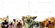 puparazila LA