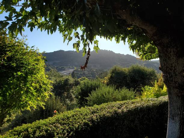 Discovering Orinda's Charm: Exploring Local Treasures in Orinda, CA 94563