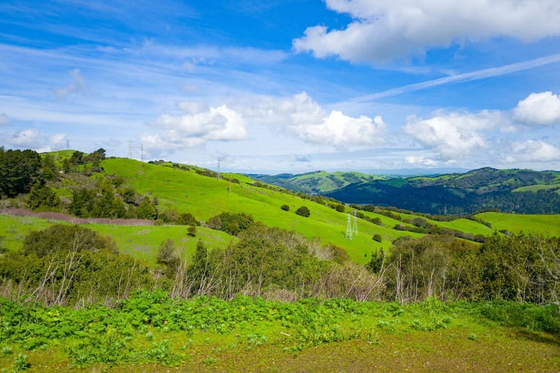 Discovering Orinda's Hidden Gems: Orinda, California 94563