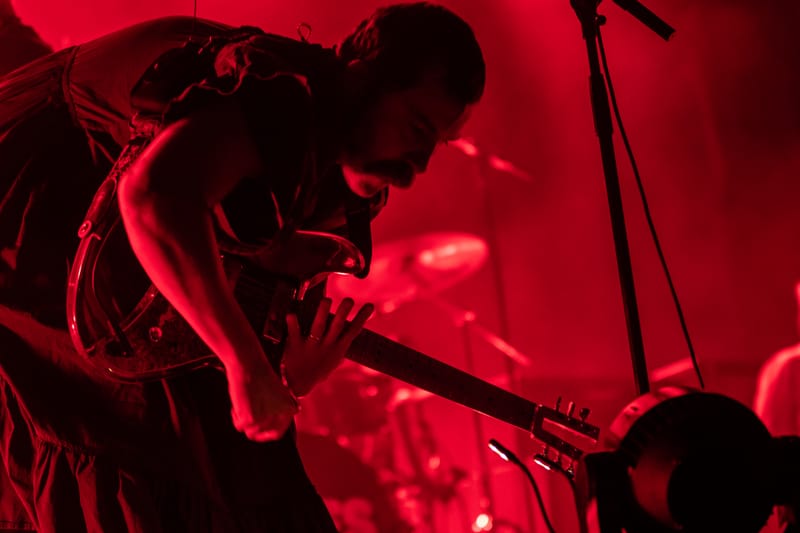 Idels live Flowers Festival - Collegno (Turin, june 2024)