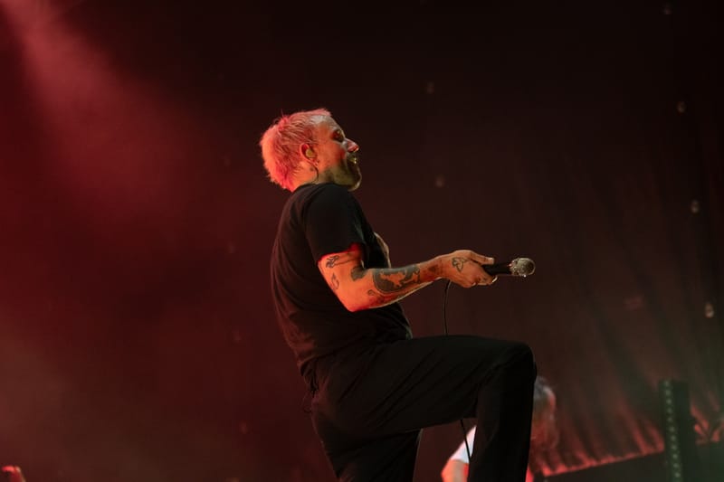 Idels live Flowers Festival - Collegno (Turin, june 2024)