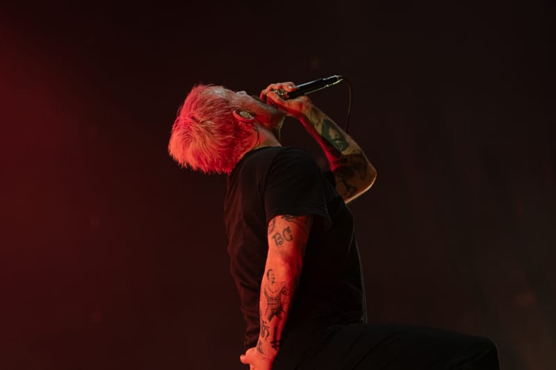 Idels live Flowers Festival - Collegno (Turin, june 2024)