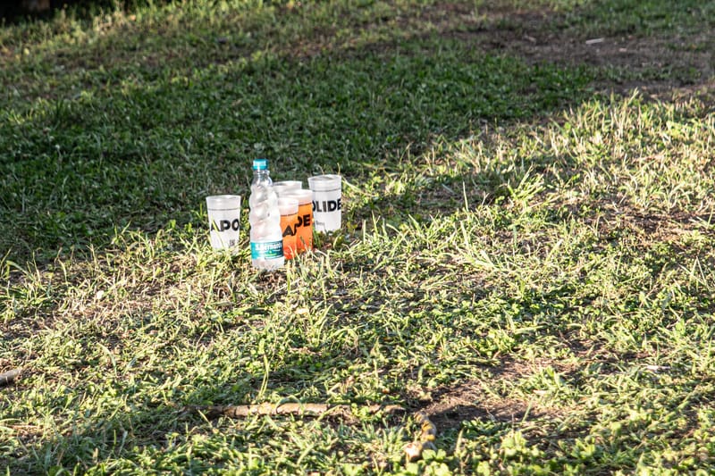 Apolide Festival - Ivrea, Torino (jun).