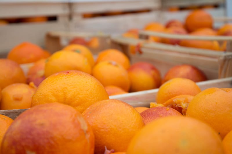 Battaglia delle Arance