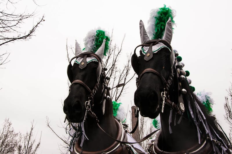 Battaglia delle Arance