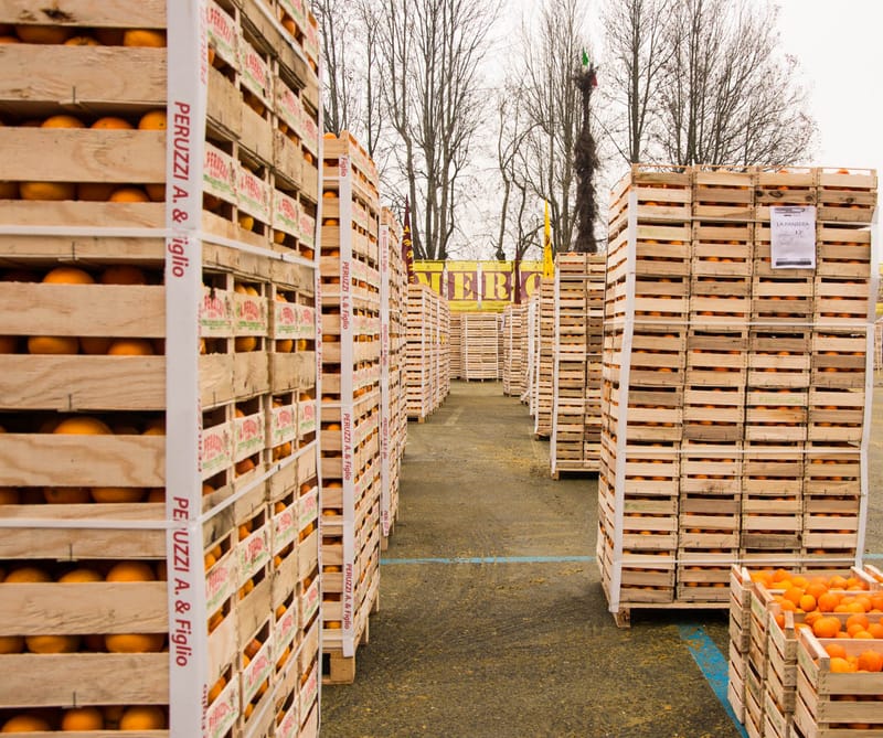 Battaglia delle Arance