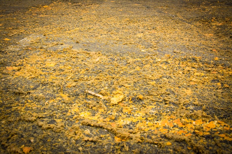 Battaglia delle Arance