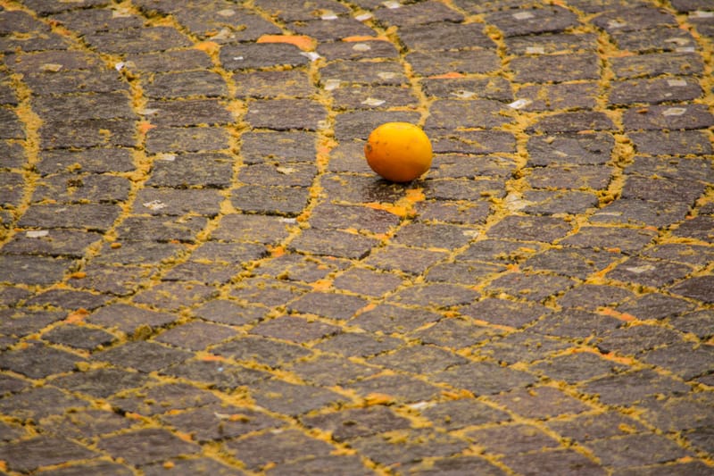 Battaglia delle Arance