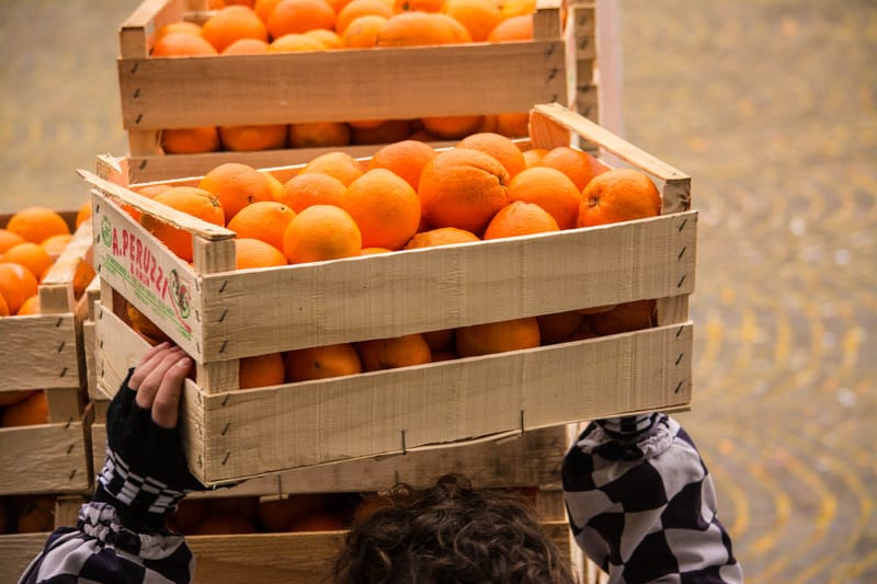 Battaglia delle Arance