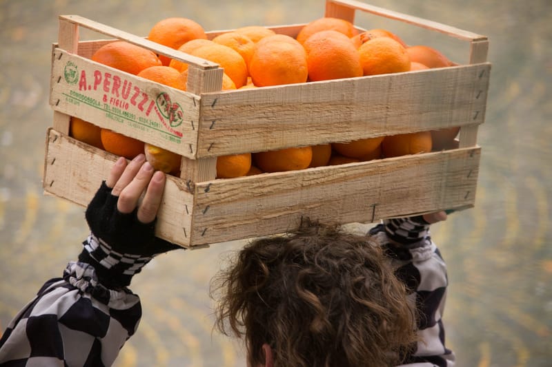 Battaglia delle Arance