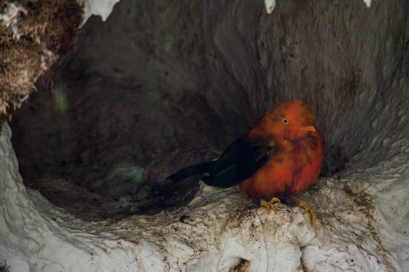 Oasi Naturalistica Sant'Alessio