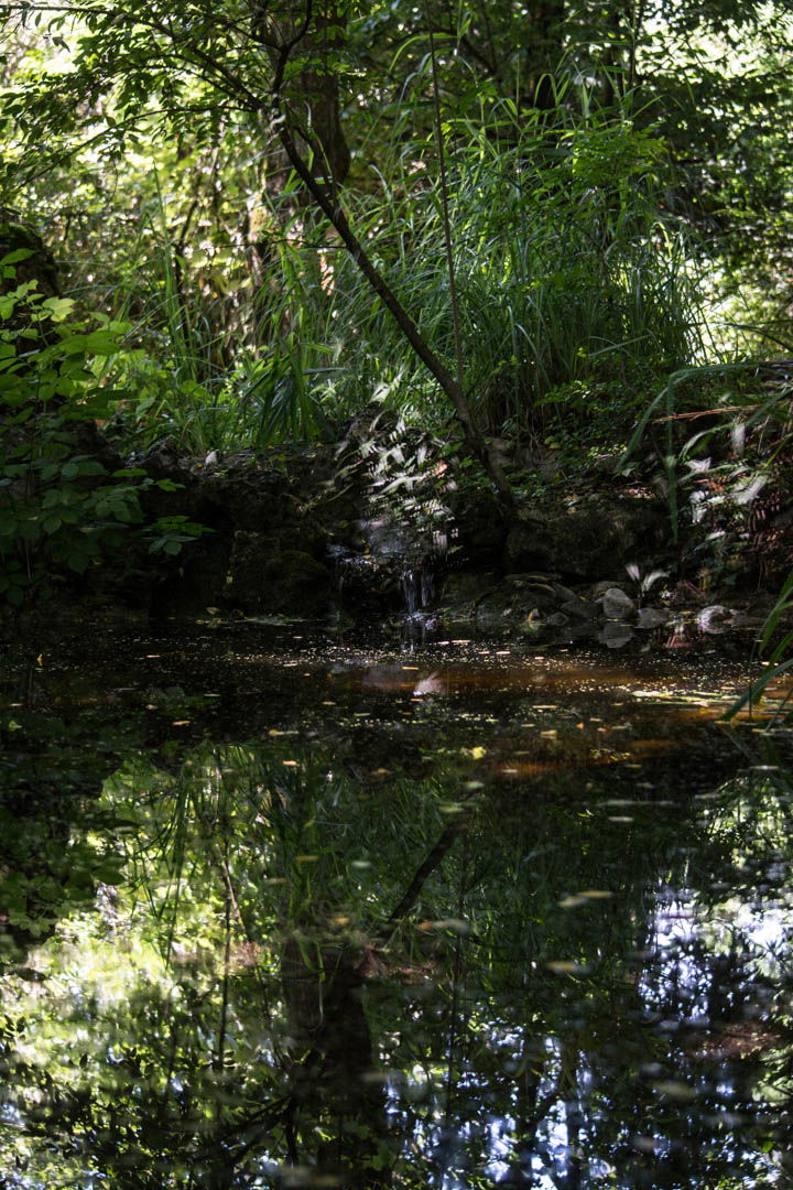 Oasi Naturalistica Sant'Alessio