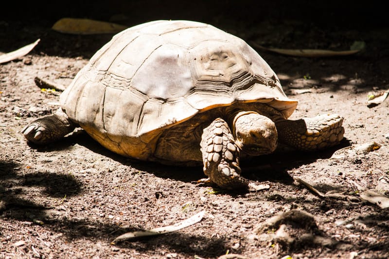 Oasi Naturalistica Sant'Alessio