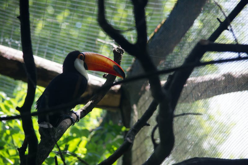 Oasi Naturalistica Sant'Alessio