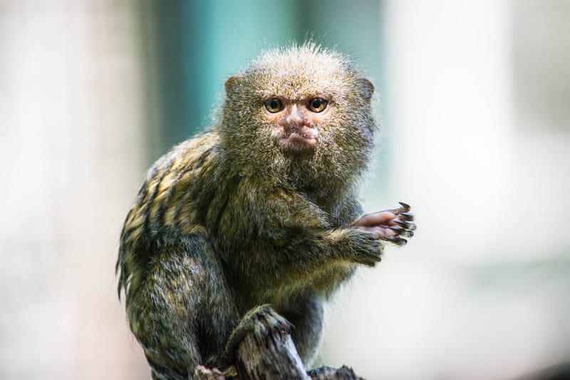 Oasi Naturalistica Sant'Alessio