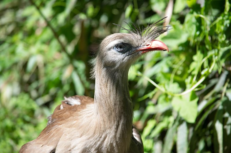 Oasi Naturalistica Sant'Alessio