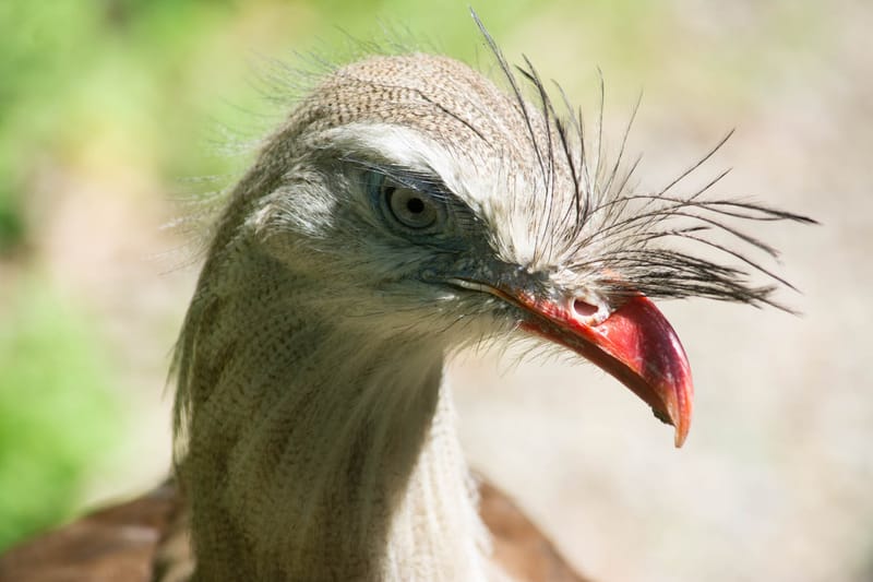 Oasi Naturalistica Sant'Alessio